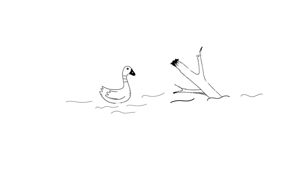 A duck swimming on a pond encounters the obstacle of a broken branch in the water
